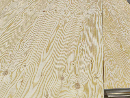 Larch plywood